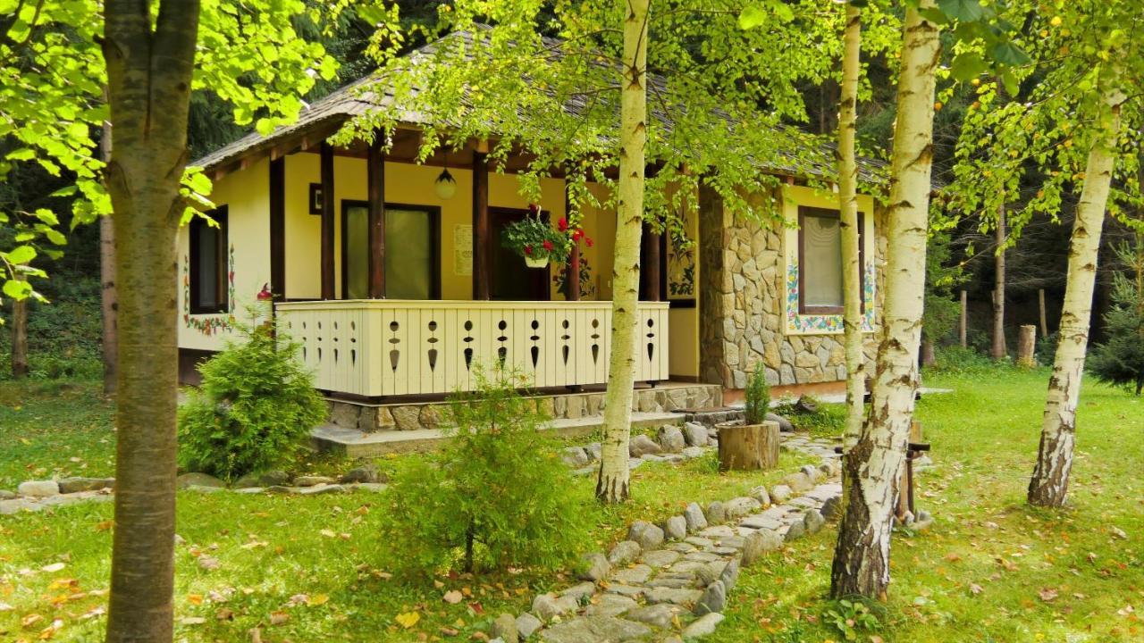 Fratii Jderi - Utopia Verde Brezoi Exteriör bild