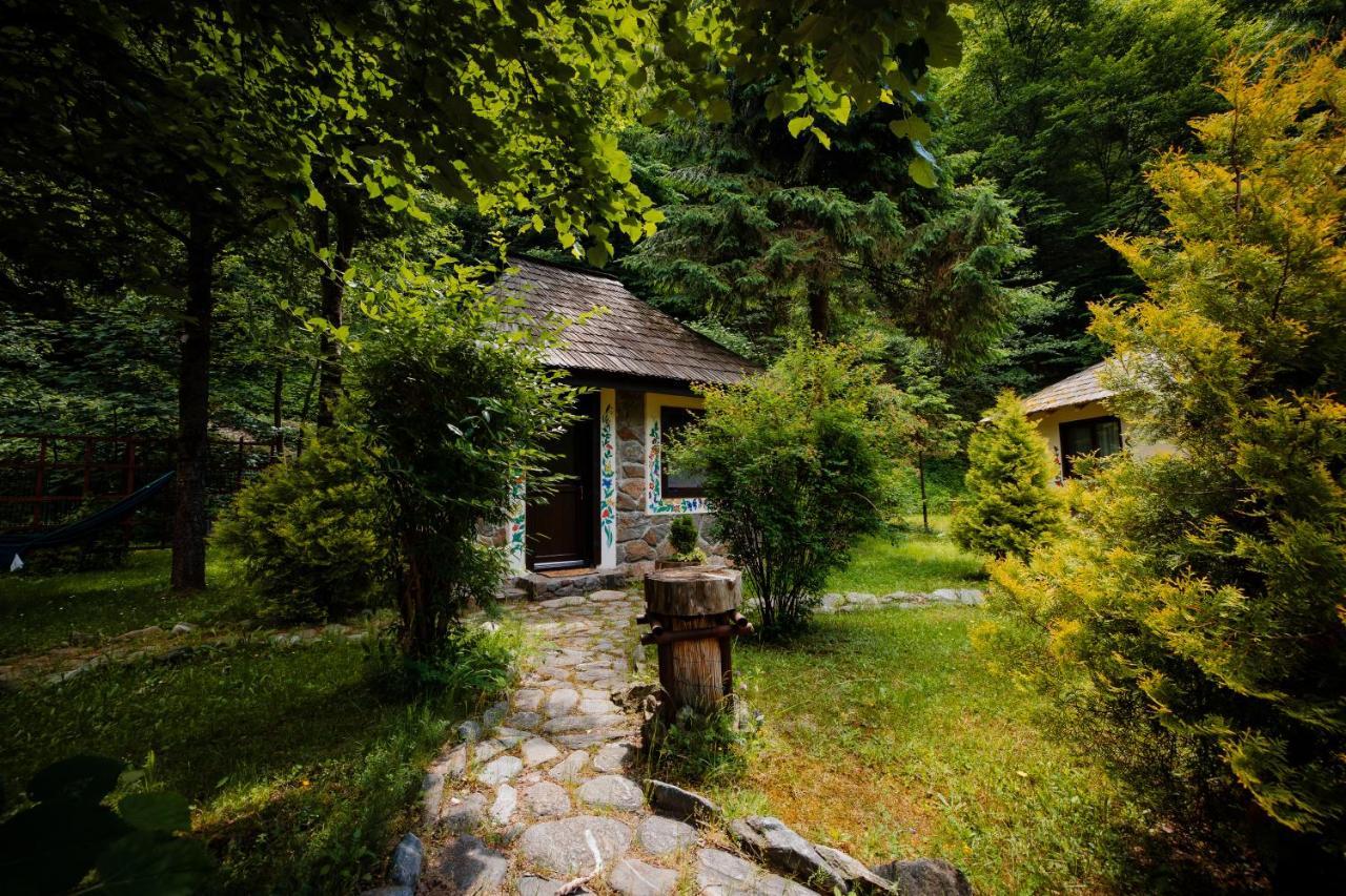 Fratii Jderi - Utopia Verde Brezoi Exteriör bild